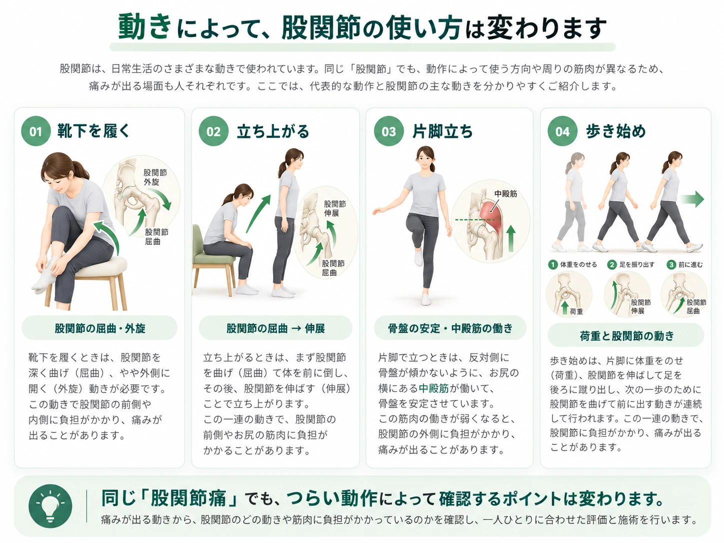 靴下を履く、立ち上がる、片脚立ち、歩き始めの4動作を示し、股関節の屈曲・伸展と筋肉の働きを説明する模式図